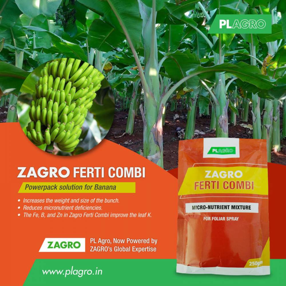 Boost Your Banana Yield with Zagro Ferti Combi